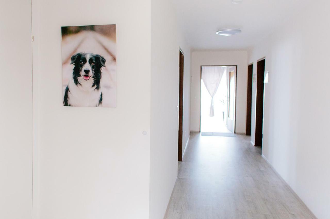 Steira-Studios Ehrenhausen Exterior foto